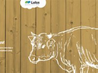 Možda još nisam spreman, ali sam dovoljno tvrdoglav i hrabar!