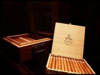 Svjetska biznis elita na hedonističkom vikendu u Hrvatskoj