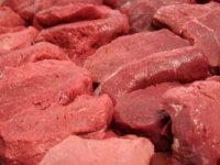 EU je gladna vrhunskog  mesa, to je šansa za Hrvatsku