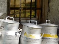 Kooperanti ostali uz Belje, ugovori o predaji mlijeka već potpisani