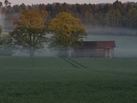 Eurostat: Obradivo zemljište u Hrvatskoj najjeftinije u EU