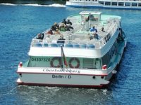 Planove im može pomrsiti samo nizak vodostaj: Krstarenja Dunavom i Dravom opet su 'in', a najviše ih vole Amerikanci