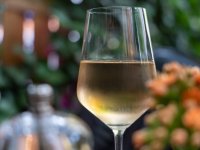 Rast će i cijena vina, skupi repromaterijal ugrozio podizanje novih nasada