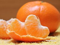 Uspješan uzgoj naranče u kućnom ambijentu