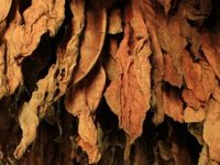 Hrvatska je postala centar izvrsnosti za nove proizvode