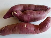 Ova ratarska kultura višestruko je isplativija od tradicionalnih žitarica