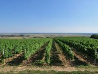 Evo kako izgledaju performanske hrvatskog kontinentalnog turizma