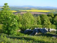 Baranja se uzda u domaće goste, ali i kruzer-ture