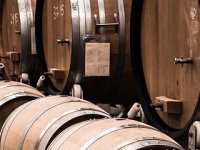 Apotekarici iz Zagreba tajne vinarstva otkriva stomatolog iz Osijeka