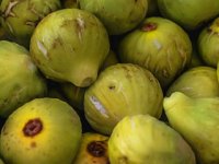 Jedan od prvih domaćih eko proizvoda, ima nove brendove i planove za razvoj tržišta