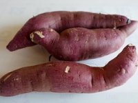 Obitelj Kovačić okrenula se batatu od kojeg proizvode tjesteninu i mlince