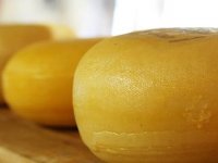 Istra domaćin 15. međunarodne konferencije europskih malih sirara