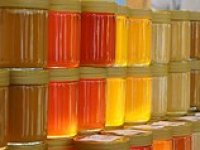 Lagatori izvrcali 2t meda i proizveli 3t eko aronije  OPG Zdravko Lagator Lagatori izvrcali 2t meda i proizveli 3t eko aronije