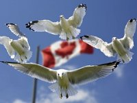 Sporazum o trgovini s Kanadom je potpisan - što to znači za Hrvatsku