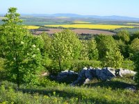 Vinski mjesec u Osječko-baranjskoj županiji - vinskom raju istoka Hrvatske
