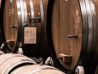 Zašto je vino skupo? Odgovor leži na – policama supermarketa