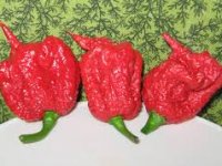 Raste u Nedelišću, kušaju je samo najhrabriji