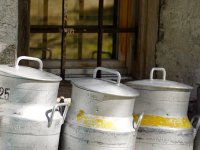 Broj proizvođača mlijeka i dalje u padu - proizvodnju dižu veliki