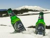 Heineken Hrvatska pokreće projekt uzgoja hrvatskog limuna