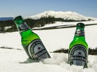 Heineken Hrvatska pokreće projekt uzgoja hrvatskog limuna