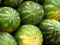 Lubenice iz doline Neretve tek krenule, a tržište preplavio uvoz pa i lažno deklariranje?