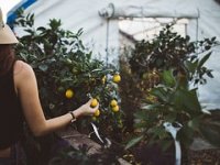 Zakon o obiteljskom poljoprivrednom gospodarstvu na snazi - koja su nova pravila?