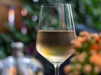 Inovacija iz Agrolagune – prvo hrvatsko bezalkoholno vino