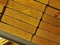 Bjelin Spačva i Bjelin Otok pripremaju nova ulaganja od 100 milijuna € za modernizaciju