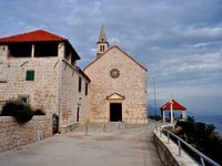 Pelješac pod naletom divljih svinja, vinari gube gotovo cijeli urod