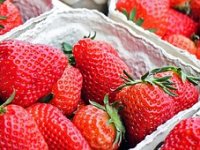 Besplatno će dijeliti domaće jagode jer ih trgovački lanci ne žele
