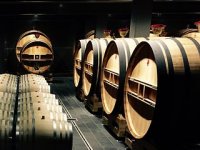 Kanađanin doselio u Split, kupio vinariju i sada radi jedno od najekskluzivnijih hrvatskih vina