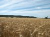 Dekanica: Stanje je najgore od Drugog svjetskog rata