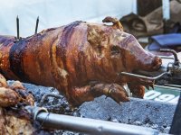 Nema odojaka, cijena žive vage sedam je kuna viša nego lani