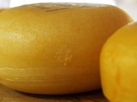 Posjetite 5. Festival sira & vina u valpovačkom dvorcu