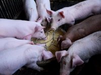 Iz fondova EU dobio 17,2 milijuna kuna