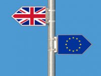 'Dajte nam još vremena da pripremimo svoj izlazak iz EU'