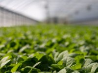 U kojem slučaju se isplati investirati u geotermalnu energiju?