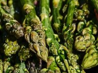 Šaptinovačke šparoge za hotele, bolnice, restorane, trgovačke centre ...