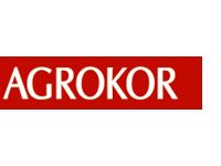 Slovaci kupili Todorićevu vilu za osam milijuna eura