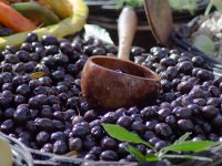 Kako je 80-godišnji Drago Malić preduhitrio maslininu muhu i osigurao zlato za Hrvatsku?