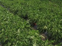 Ne čeka vam se objava natječaja za intervencije? Do obrtnih sredstava možete i na drugi način