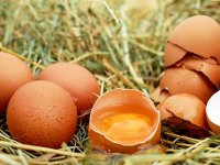Eksplodirao uvoz jaja iz Ukrajine: do srpnja već 8200 tona!