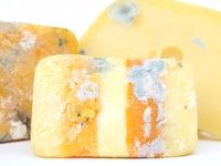 Četiri nove svjetske medalje za istarske sireve na natjecanju WORLD CHEESE AWARDS 2017. u Londonu