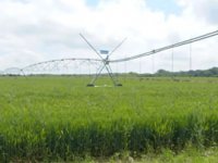 Prvo gospodarstvo u Hrvatskoj koje je postavilo najmoderniji sustav navodnjavanja