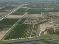 Što se krije iza gospodarskog čuda u Babinoj Gredi