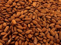 Dalmacija kao Kalifornija: na sve strane niču nasadi badema, uzgajivači očekuju veću zaradu nego od turizma