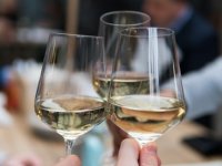 Svijetli dvori krenuli su s 1000 litara. Sad su na 13 hektara