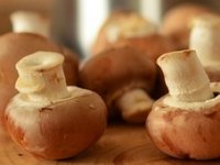 Rastu kao gljive poslije kiše: Biznis nastao iz taloga kave, koji svi bacamo