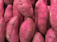 Hobi pretvorili u unosan posao: Obitelj Rosman batat plasira po cijeloj Hrvatskoj