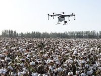 Mogu li sateliti i umjetna inteligencija promijeniti poljoprivredu?